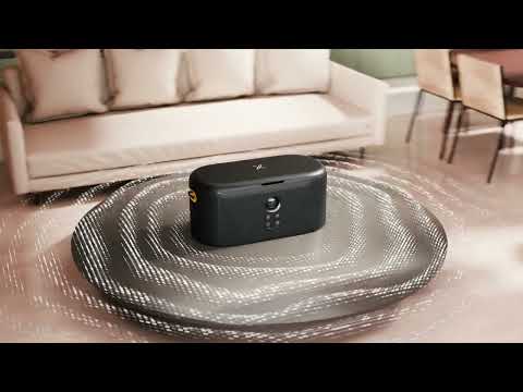 1446198|IKARAO-SHELLS1